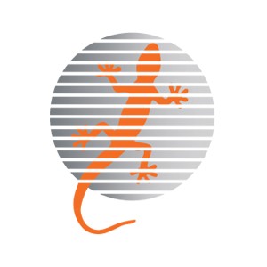 logo-concord-service-center-srl concord-service-center-srl