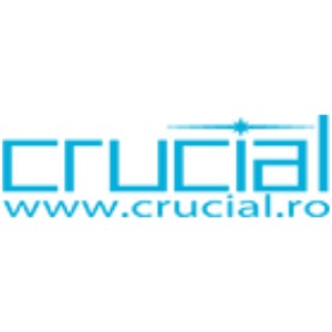 logo-crucial-systems-services-srl crucial systems services
